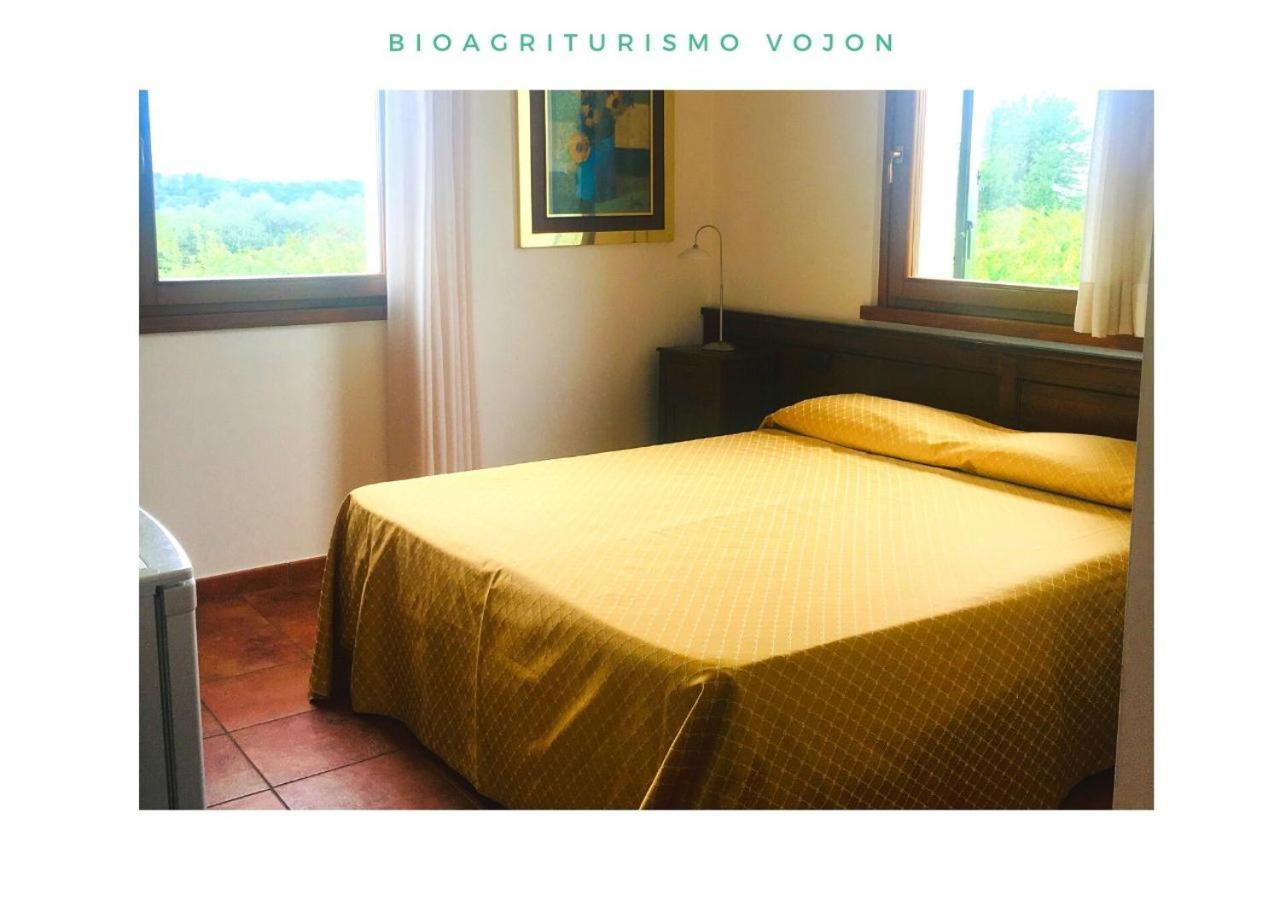 Bio Agriturismo Vojon Villa ปอนติ ซุล มินโช ภายนอก รูปภาพ